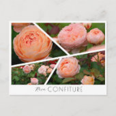 Rosa Confiture ポストカード (正面)