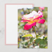 Rosa Double Delight: Flat Card (正面/裏面)