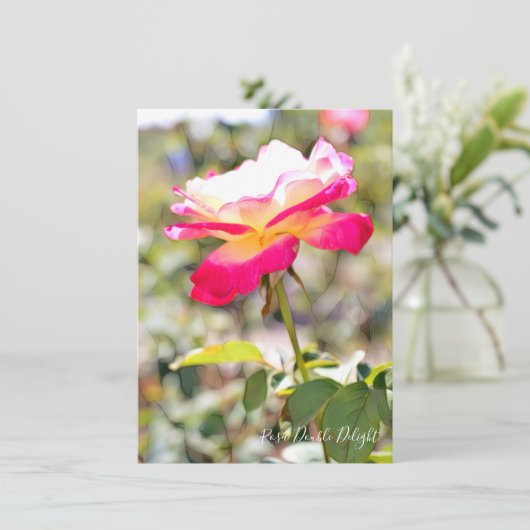 Rosa Double Delight: Flat Card (スタンド正面)