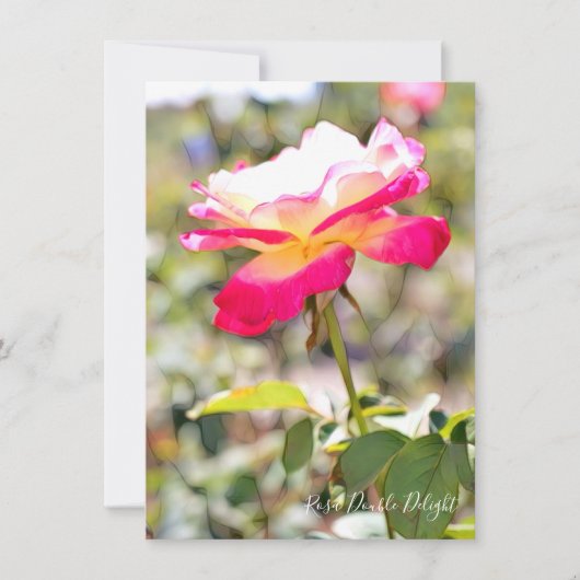 Rosa Double Delight: Flat Card (正面)