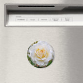Rosa Edelweiss [ラウンドマグネット] マグネット (インサイチュ (食洗機))