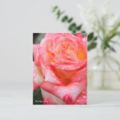 Rosa Elegant Lady ポストカード (スタンド正面)