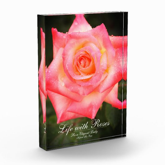 Rosa Elegant Lady:Photo Block フォトブロック (左)