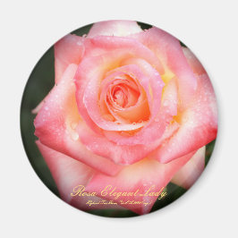 Rosa Elegant Lady：Round Magnet マグネット