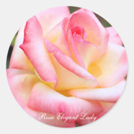 Rosa Elegant Lady [Round Seal] ラウンドシール
