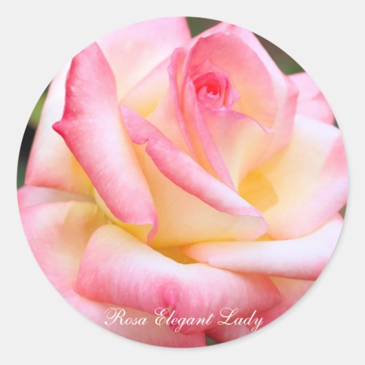 Rosa Elegant Lady [Round Seal] ラウンドシール (正面)