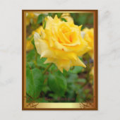 Rosa Emblem ポストカード (正面)