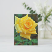 Rosa Emblem [Postcard] ポストカード (スタンド正面)