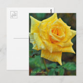 Rosa Emblem [Postcard] ポストカード (正面/裏面)