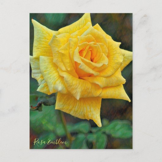 Rosa Emblem [Postcard] ポストカード (正面)