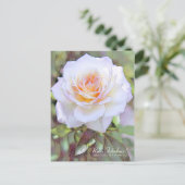 Rosa Fabulous! [Postcard] ポストカード (スタンド正面)