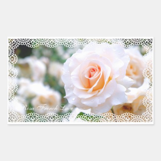 Rosa French Lace [Rectangular Seal] 長方形シール (正面)