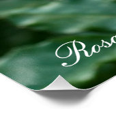 Rosa Friesia：Perfect Poster ポスター (コーナー)