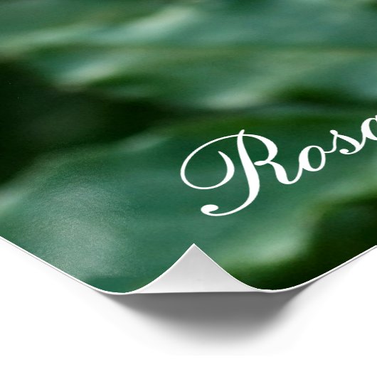 Rosa Friesia:Perfect Poster ポスター (コーナー)