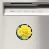 Rosa Friesia:Round Magnet マグネット (インサイチュ (食洗機))