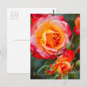 Rosa Fruite ポストカード (正面/裏面)