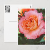 Rosa Fruite ポストカード (正面/裏面)