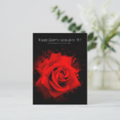 Rosa Gartenzauber '84:Postcard ポストカード (スタンド正面)