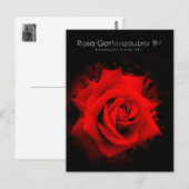Rosa Gartenzauber '84:Postcard ポストカード (正面/裏面)
