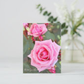 Rosa Gene Boerner ポストカード (スタンド正面)