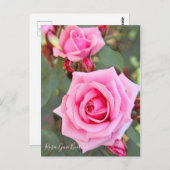 Rosa Gene Boerner ポストカード (正面/裏面)