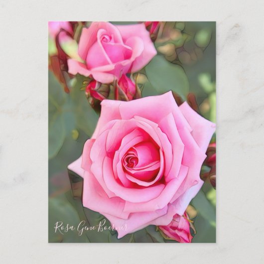 Rosa Gene Boerner ポストカード (正面)