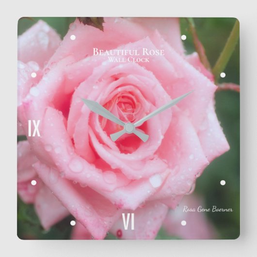 Rosa Gene Boerner [Acrylic Wall Clock] スクエア壁時計 (正面)