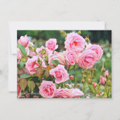 Rosa Gene Boerner: Flat Card (正面)