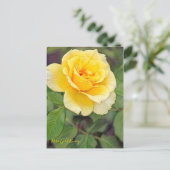 Rosa Gold Bunny ポストカード (スタンド正面)