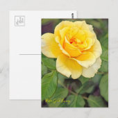 Rosa Gold Bunny ポストカード (正面/裏面)