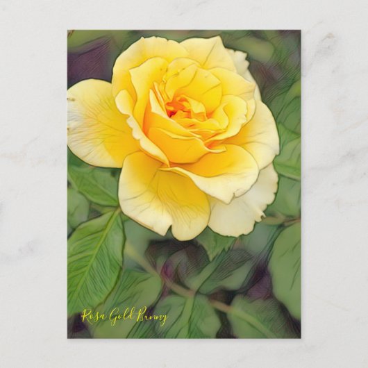 Rosa Gold Bunny ポストカード (正面)