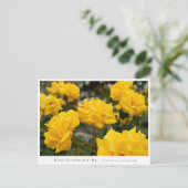 Rosa Goldmarie '84 ポストカード (スタンド正面)