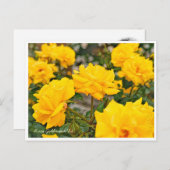 Rosa Goldmarie '84 ポストカード (正面/裏面)