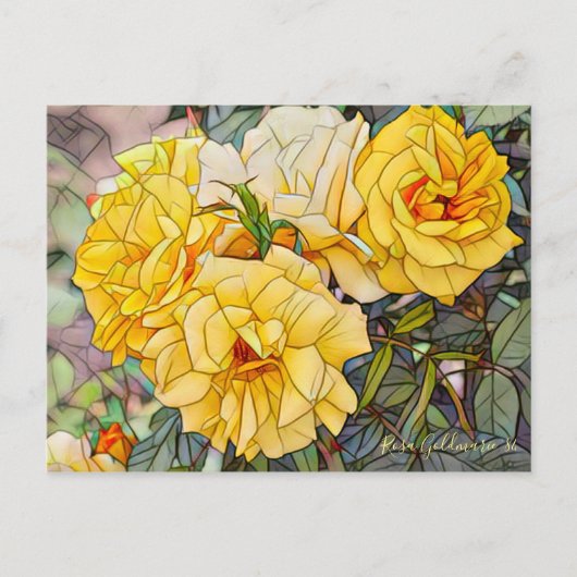 Rosa Goldmarie '84 [Postcard] ポストカード (正面)