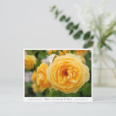 Rosa Graham Tomas ポストカード (スタンド正面)