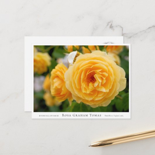 Rosa Graham Tomas ポストカード (正面/裏面インサイチュ)