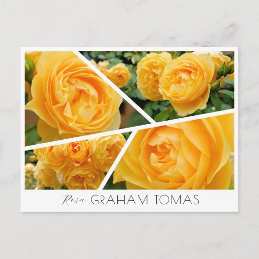 Rosa Graham Tomas ポストカード (正面)