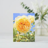 Rosa Graham Tomas ポストカード (スタンド正面)