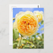 Rosa Graham Tomas ポストカード (正面/裏面)