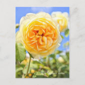 Rosa Graham Tomas ポストカード (正面)