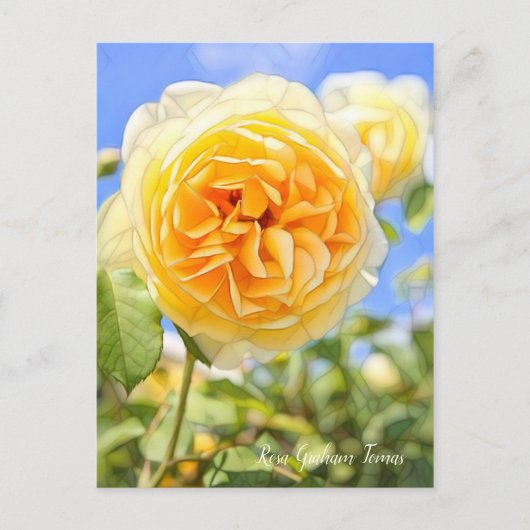 Rosa Graham Tomas ポストカード (正面)