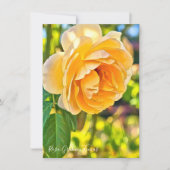 Rosa Graham Tomas: Flat Card (正面)