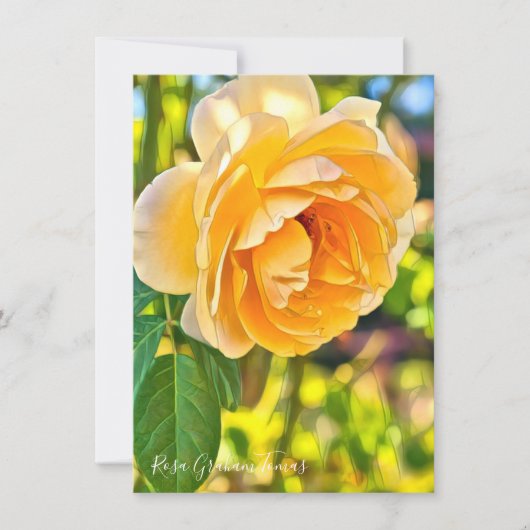 Rosa Graham Tomas: Flat Card (正面)