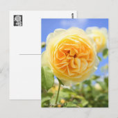 Rosa Graham Tomas:Postcard ポストカード (正面/裏面)