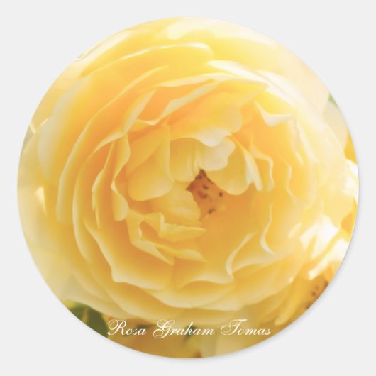 Rosa Graham Tomas [Round Seal] ラウンドシール (正面)