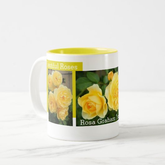 Rosa Graham Tomas：Two‐tone Mug ツートーンマグカップ (正面左)