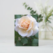 Rosa Grey Pearl [Postcard] ポストカード (スタンド正面)