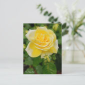 Rosa Happy Child ポストカード (スタンド正面)