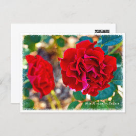 Rosa Hommage a Barbara ポストカード