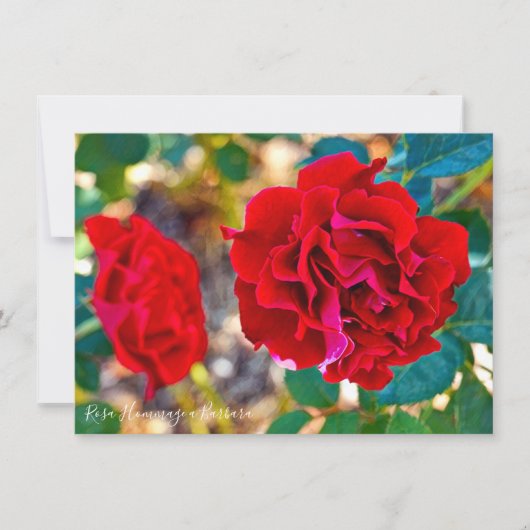 Rosa Hommage a Barbara: Flat Card (正面)